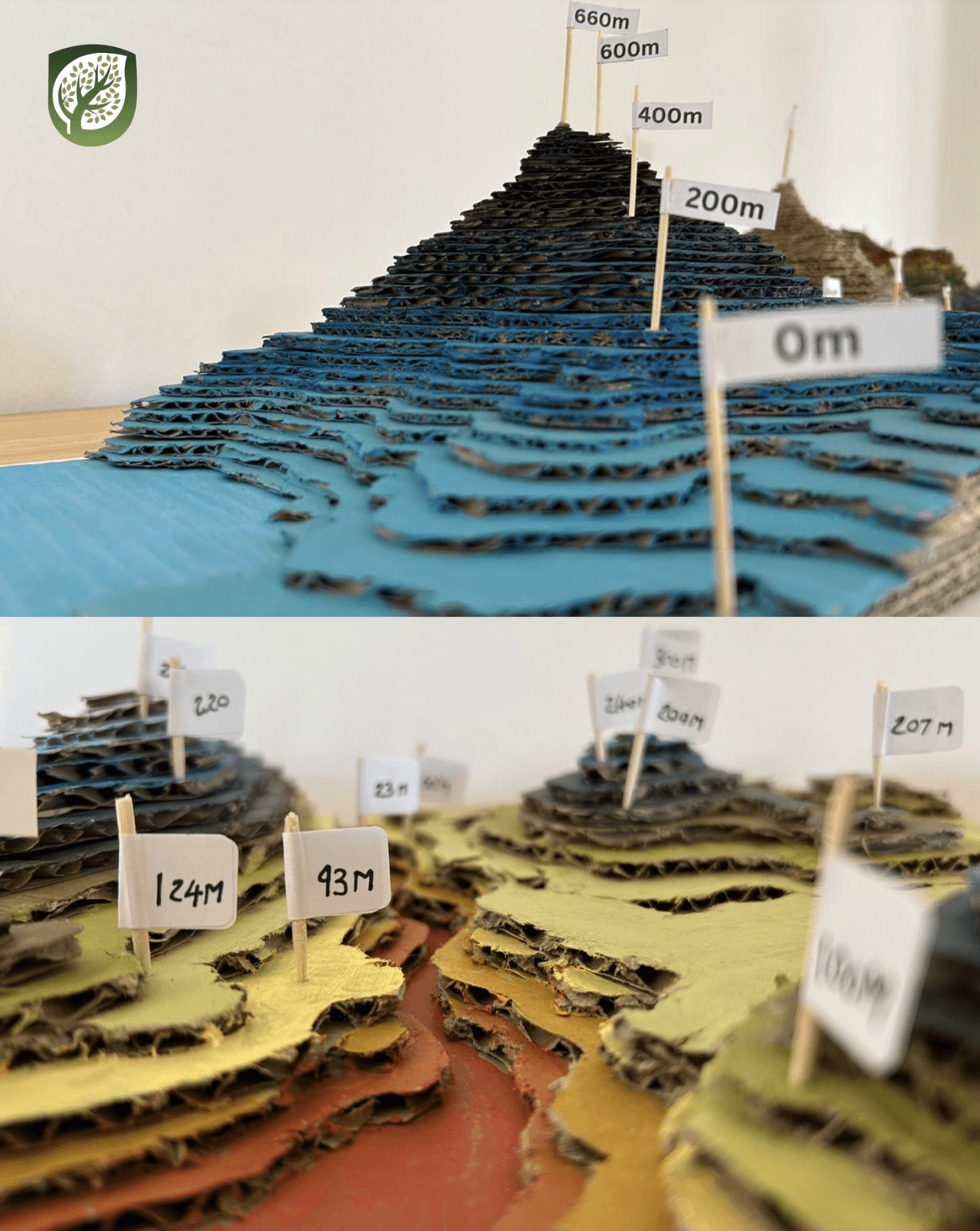 From Maps to Models: visualising our world 📍